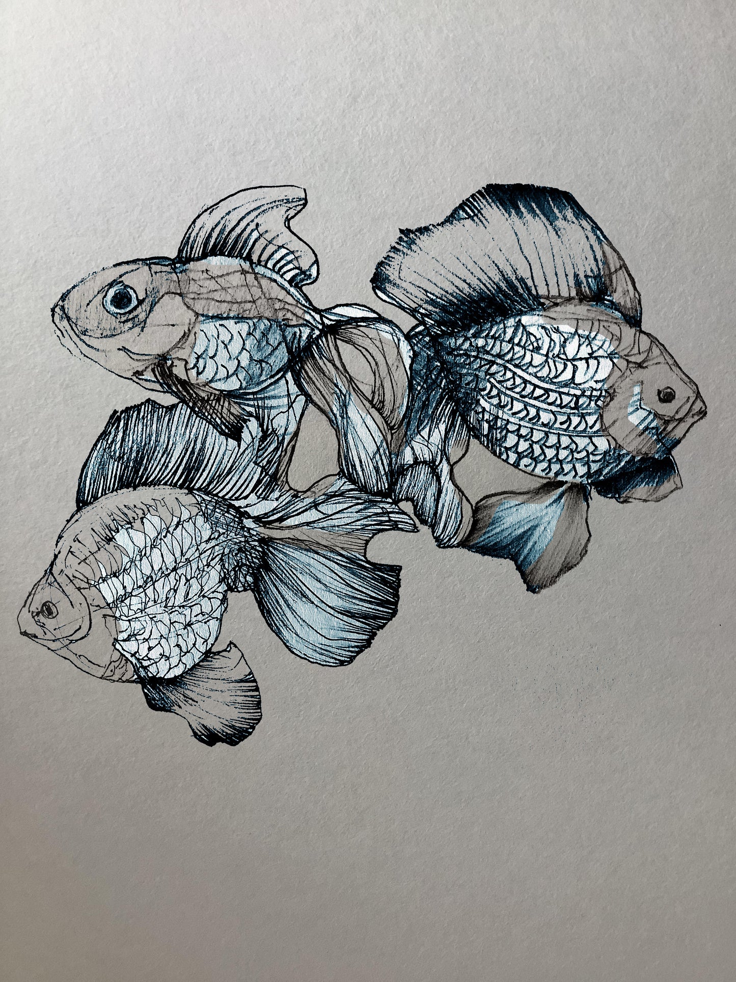 Dibujo de peces