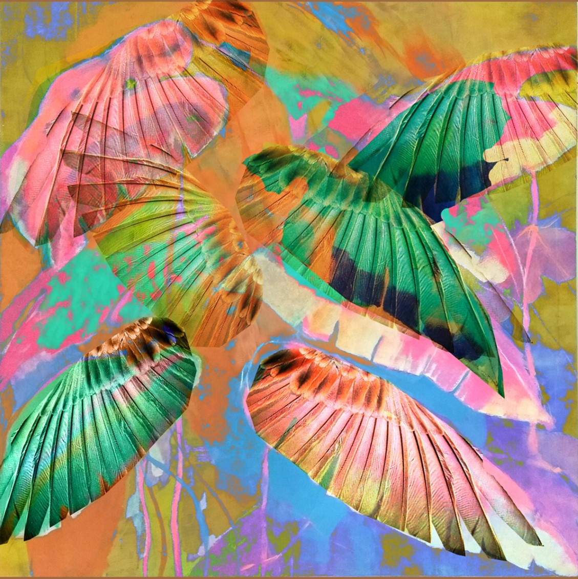 Lámina "Abstracta Plumas"