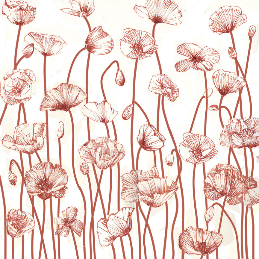 Dibujo de "Amapolas"